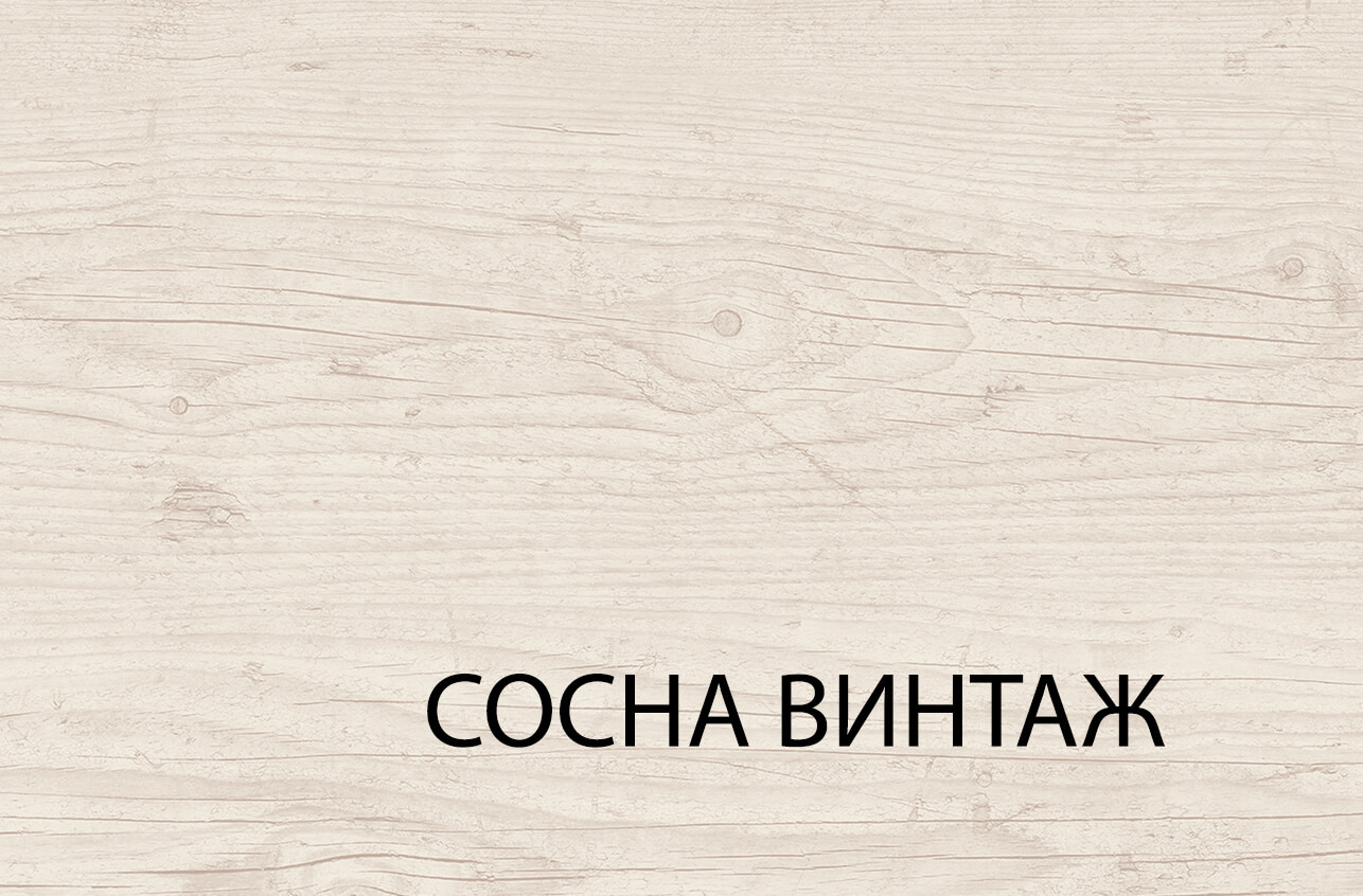 sosna-34.jpg